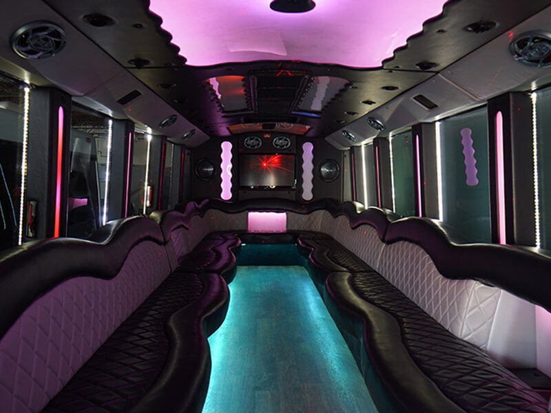 vehicle from party bus company